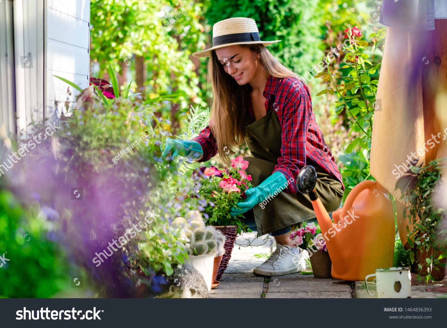 Happy gardener woman in gloves and apron plants flowers on the flower bed in home garden. Gardening and floriculture. Flower care #1464836393
