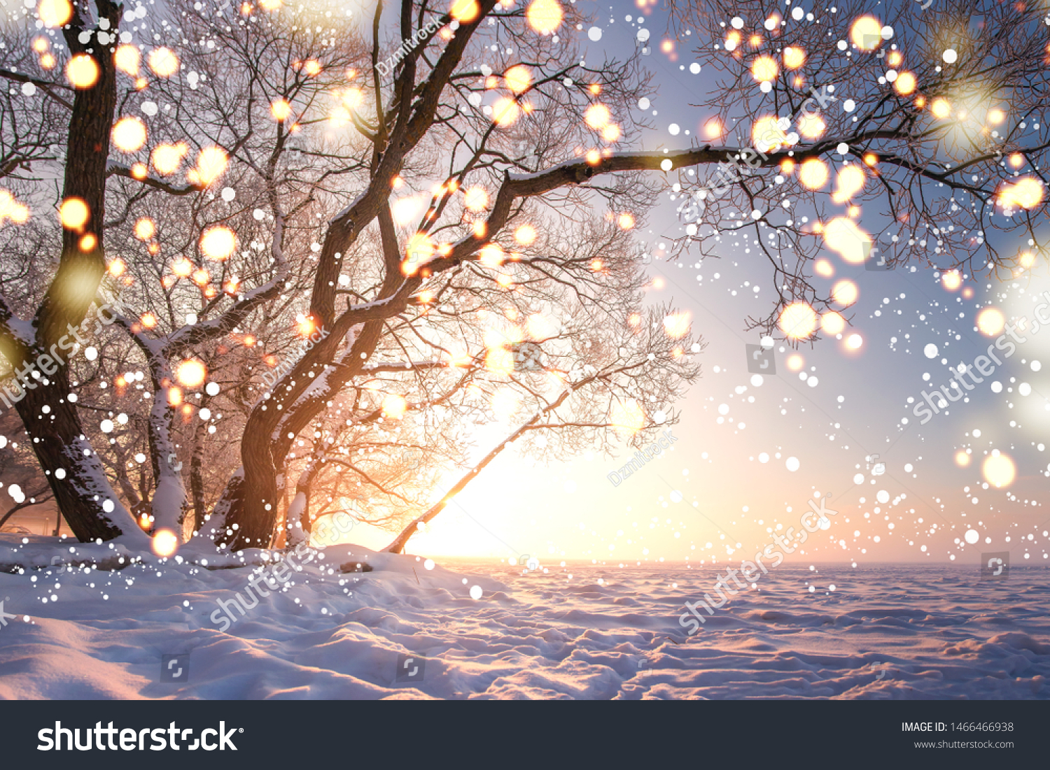 Christmas background. Magic glowing snowflakes in winter nature landscape. Beautiful winter scene with bokeh. Winter fairytale. Illuminated lights shine tree #1466466938
