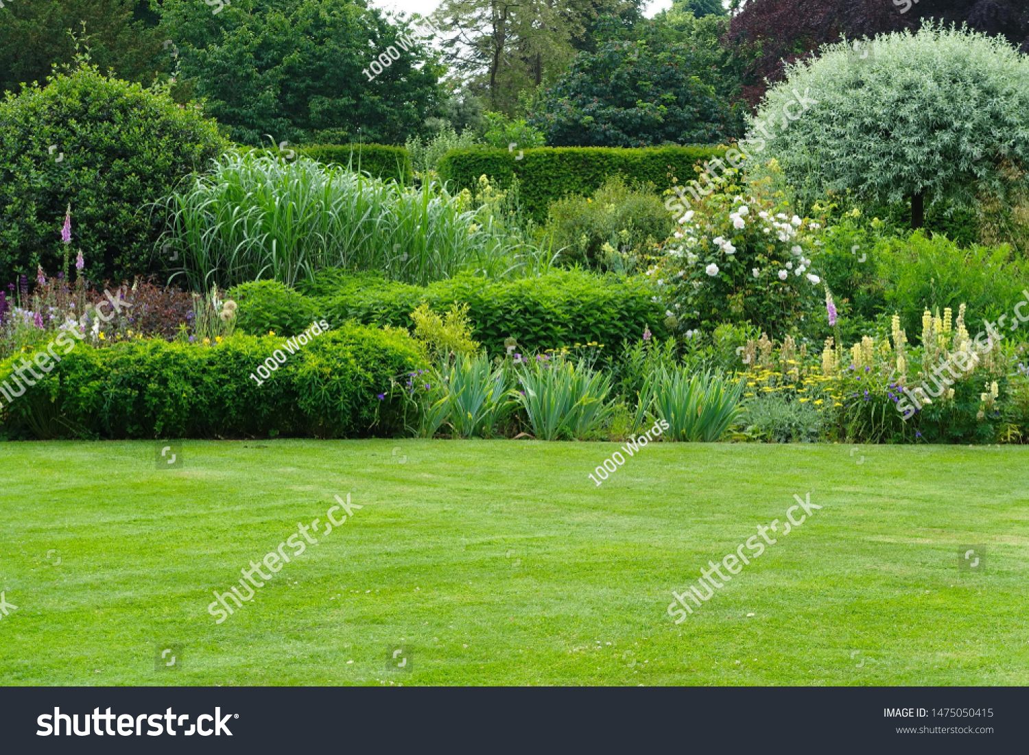 Scenic Summertime View of a Beautiful English Style Landscape Garden with a Green Mowed Lawn, Leafy Trees and Colourful Flower Bed #1475050415