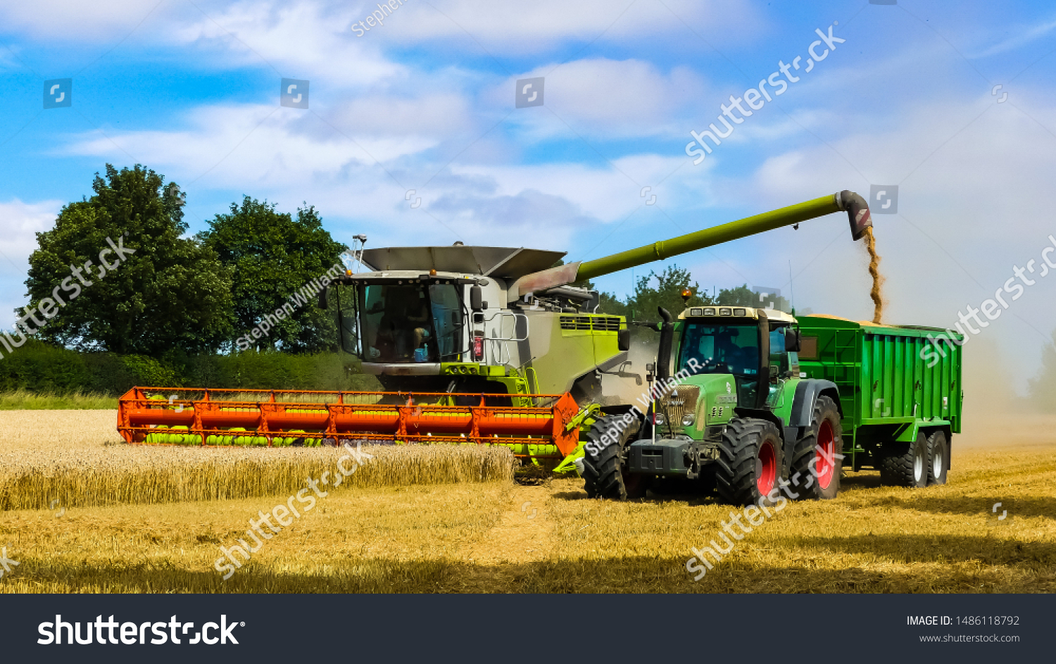 Colourful combine harvester working a wheat field with a tractor and trailer moving alongside. Grain from the elevator being uploaded. Dust cloud behind. Landscape image with space for copy. England. #1486118792
