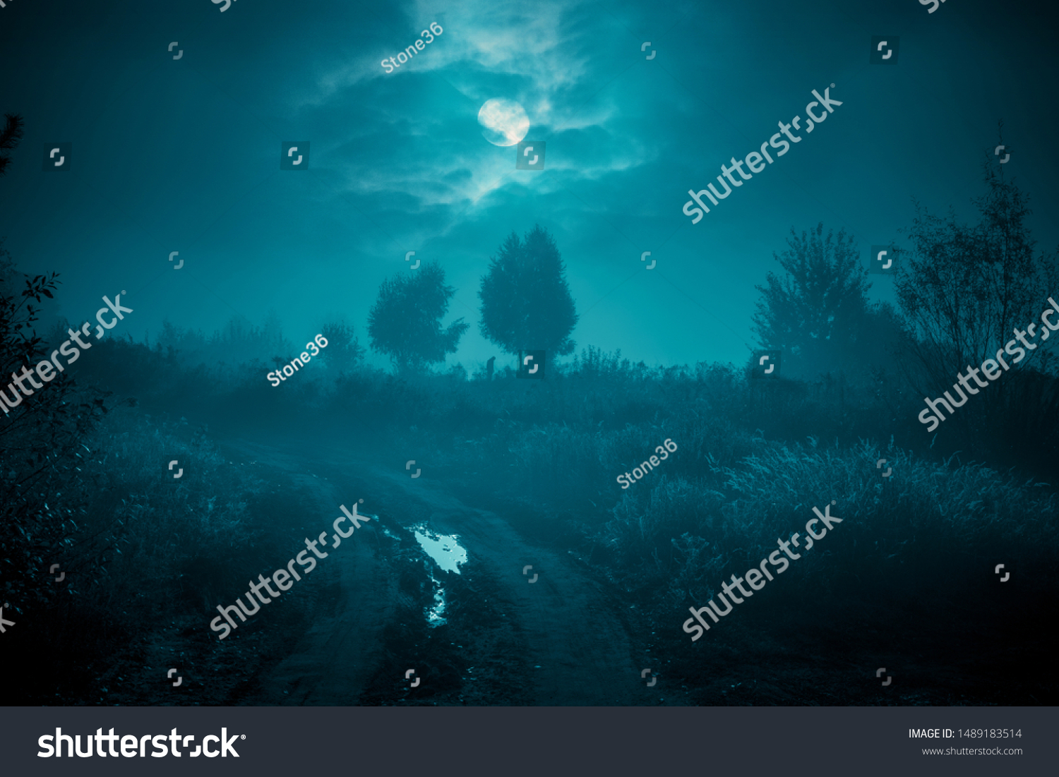 Night mysterious landscape in cold tones - silhouettes of the trees under the full moon through the clouds on dramatic night sky. #1489183514