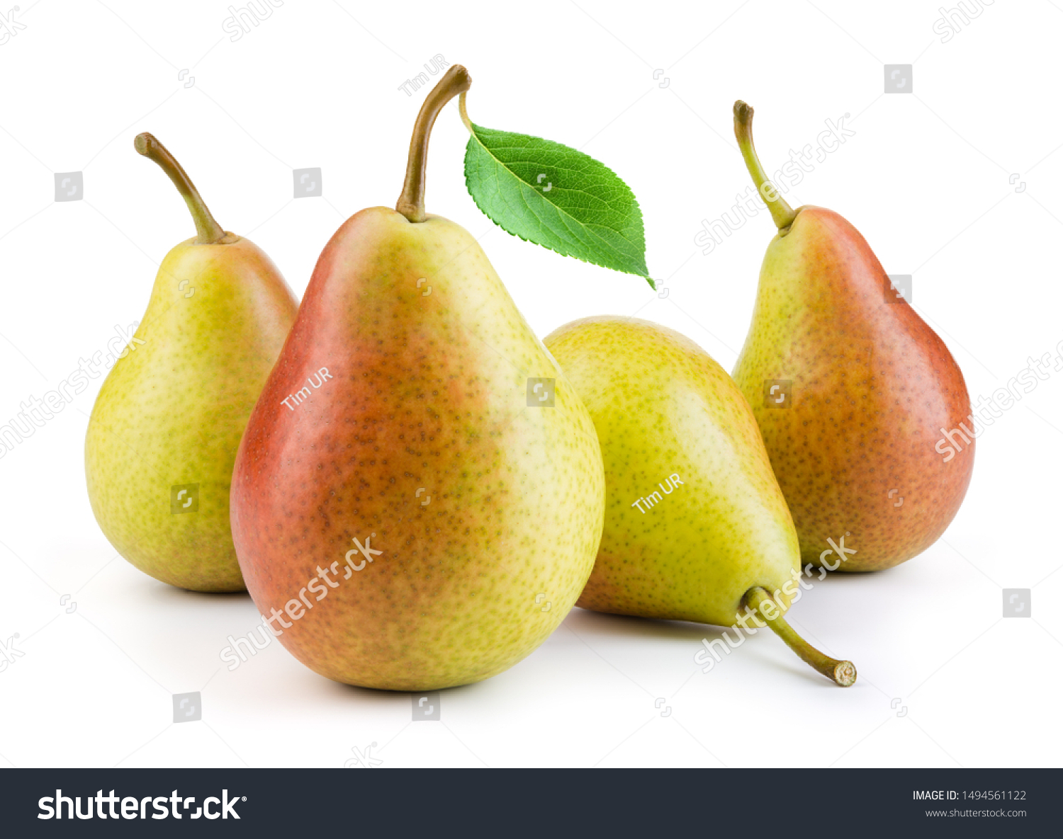 Pears isolated. Pears with leaf on white background. Full depth of field.  #1494561122