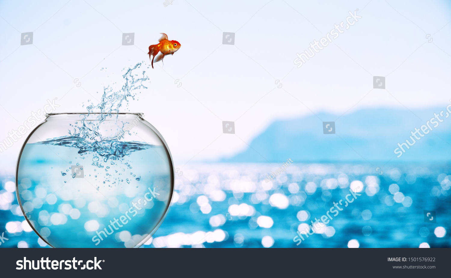 Goldfish leaps out of the aquarium to throw itself into the sea #1501576922