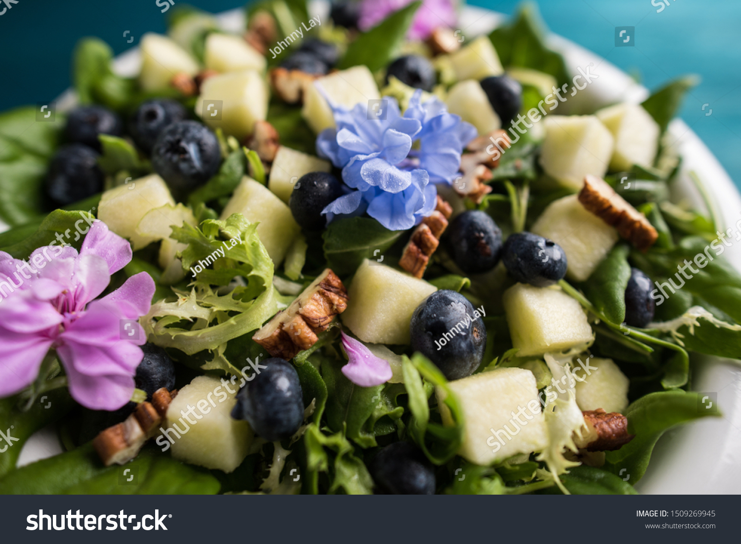Salad with comestible flowers and grapes. #1509269945