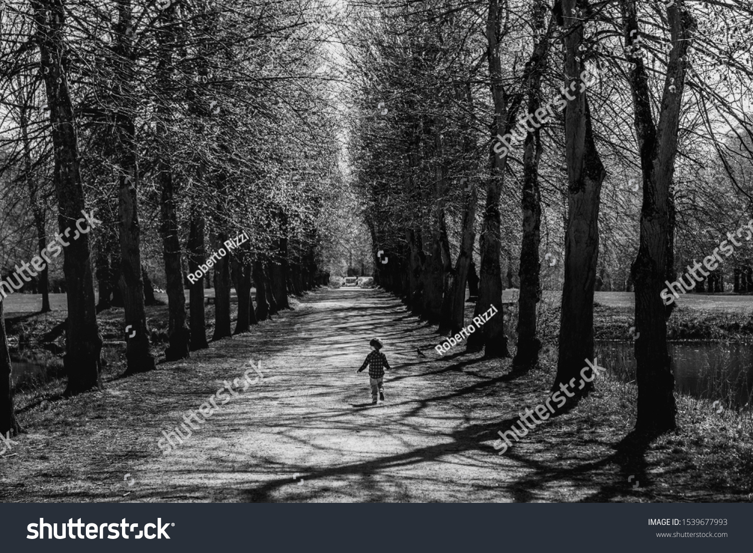 Back view of a young child running free on a boulevard with tall trees bears freedom, fun and liberty concept. A kid running free on an alley conveys carefree and childhood lighthearted feelings #1539677993