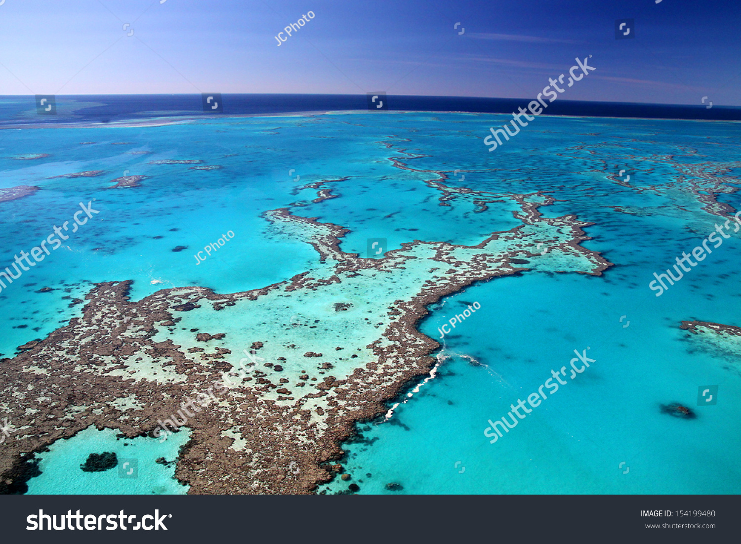 Magnificent colours in the Great Barrier Reef #154199480
