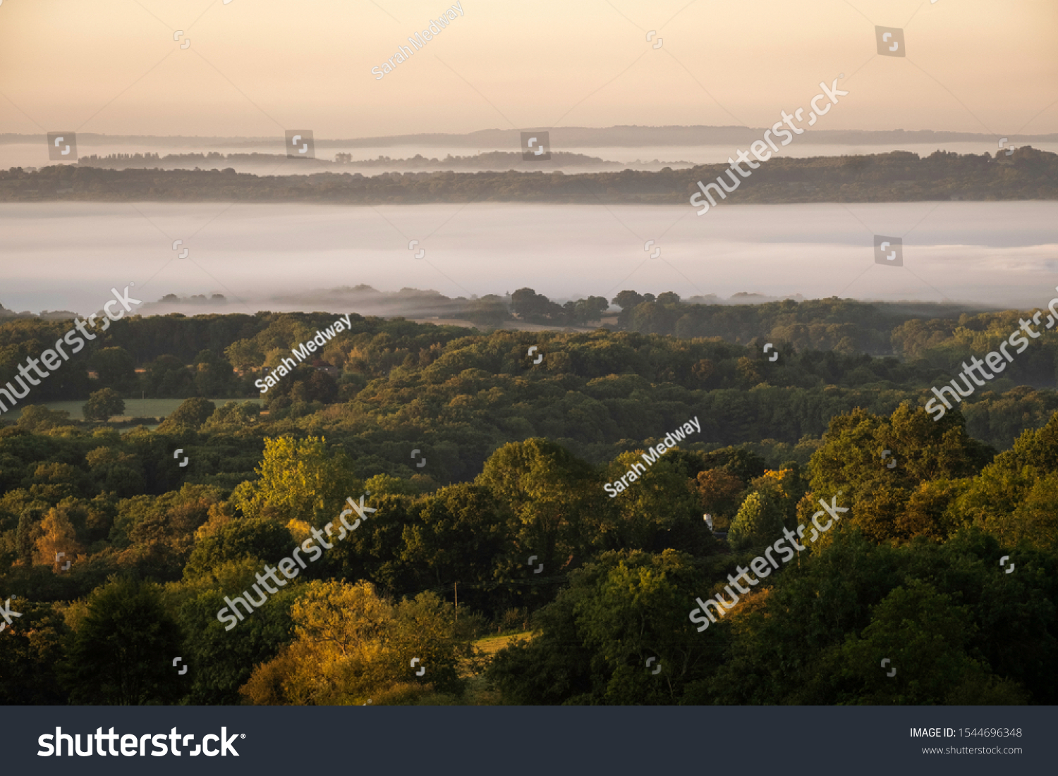View across the Kent Weald at sunrise with layers of mist in soft autumn light #1544696348