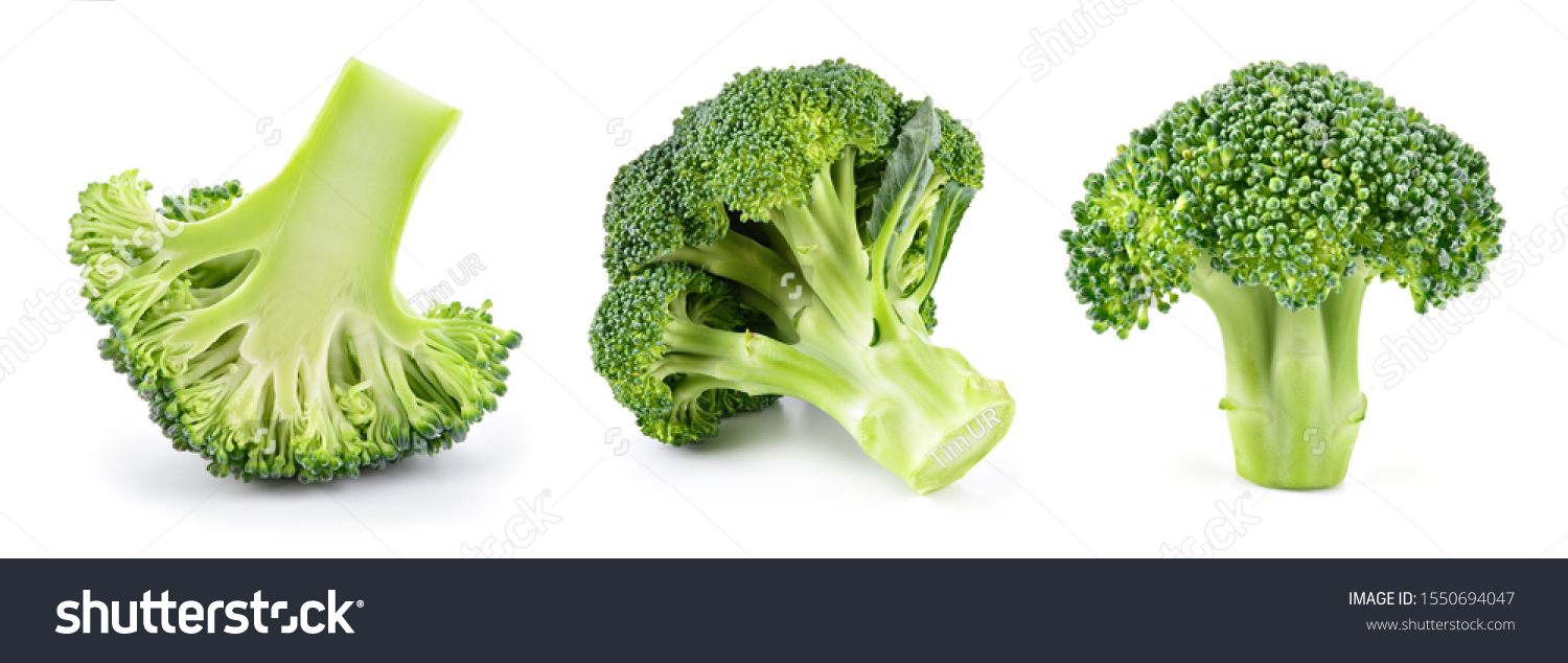 Broccoli isolated. Broccoli on white. Set of fresh broccoli. #1550694047