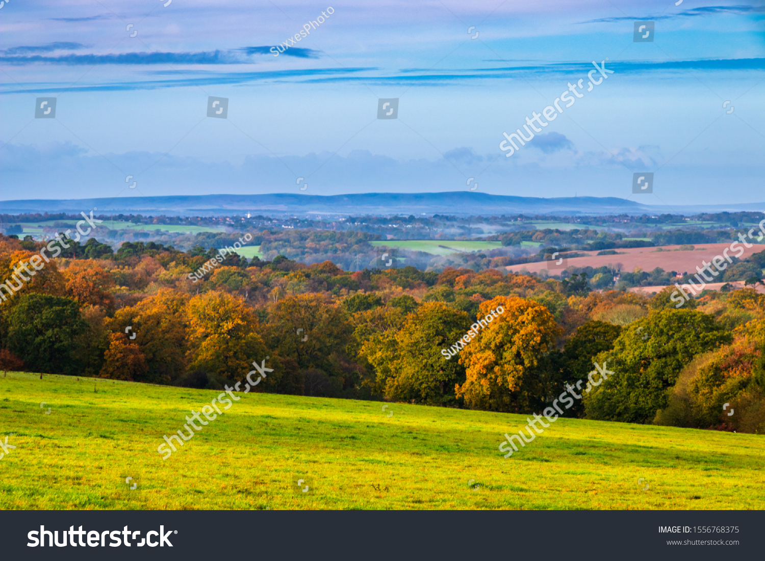 Morning autumn view from Tent Hill on the High Weald, east Sussex south east England #1556768375