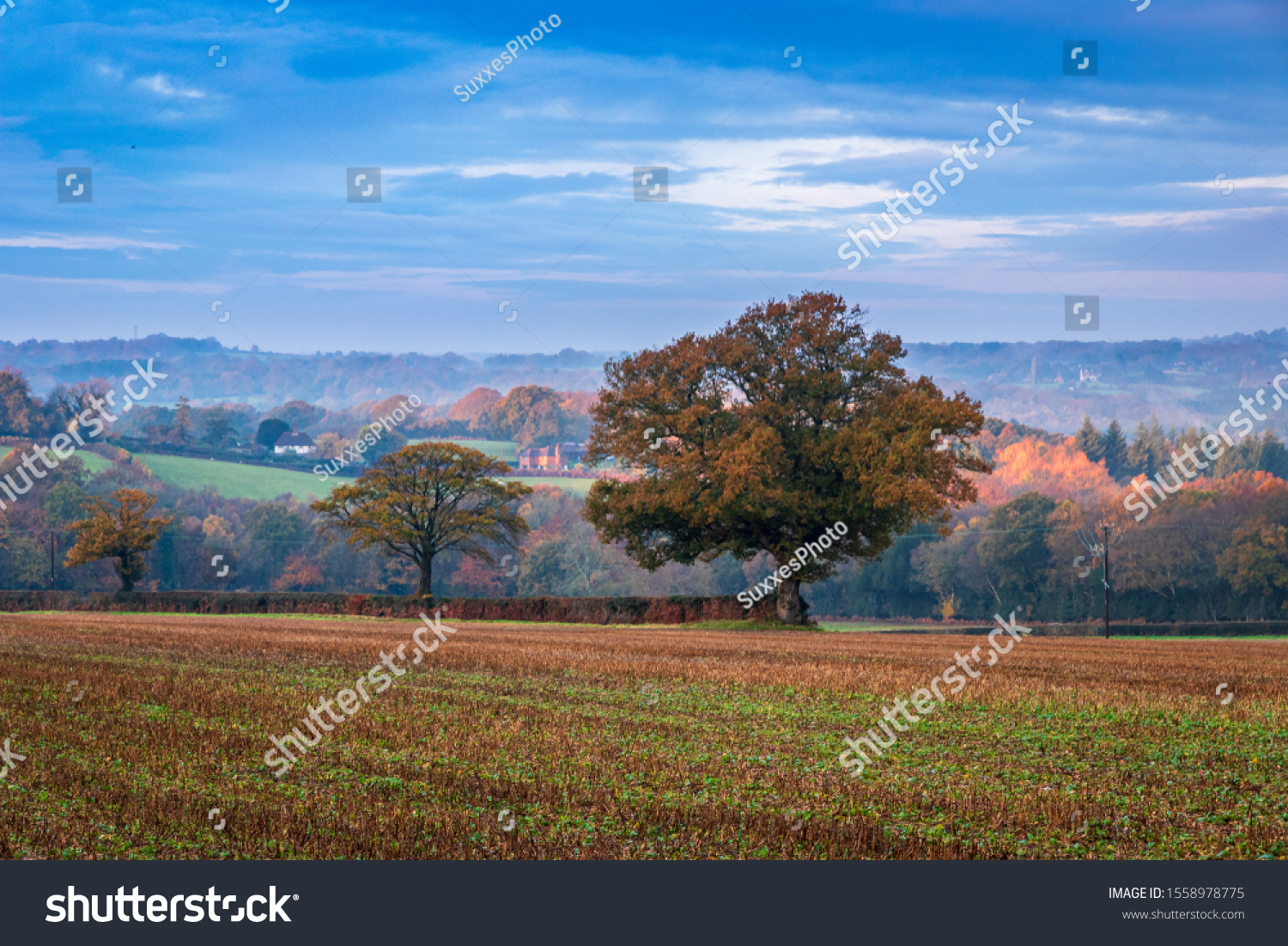 Autumn woodland countryside scene over Brightling down from Woods Corner on the High Weald in East Sussex south east England UK #1558978775