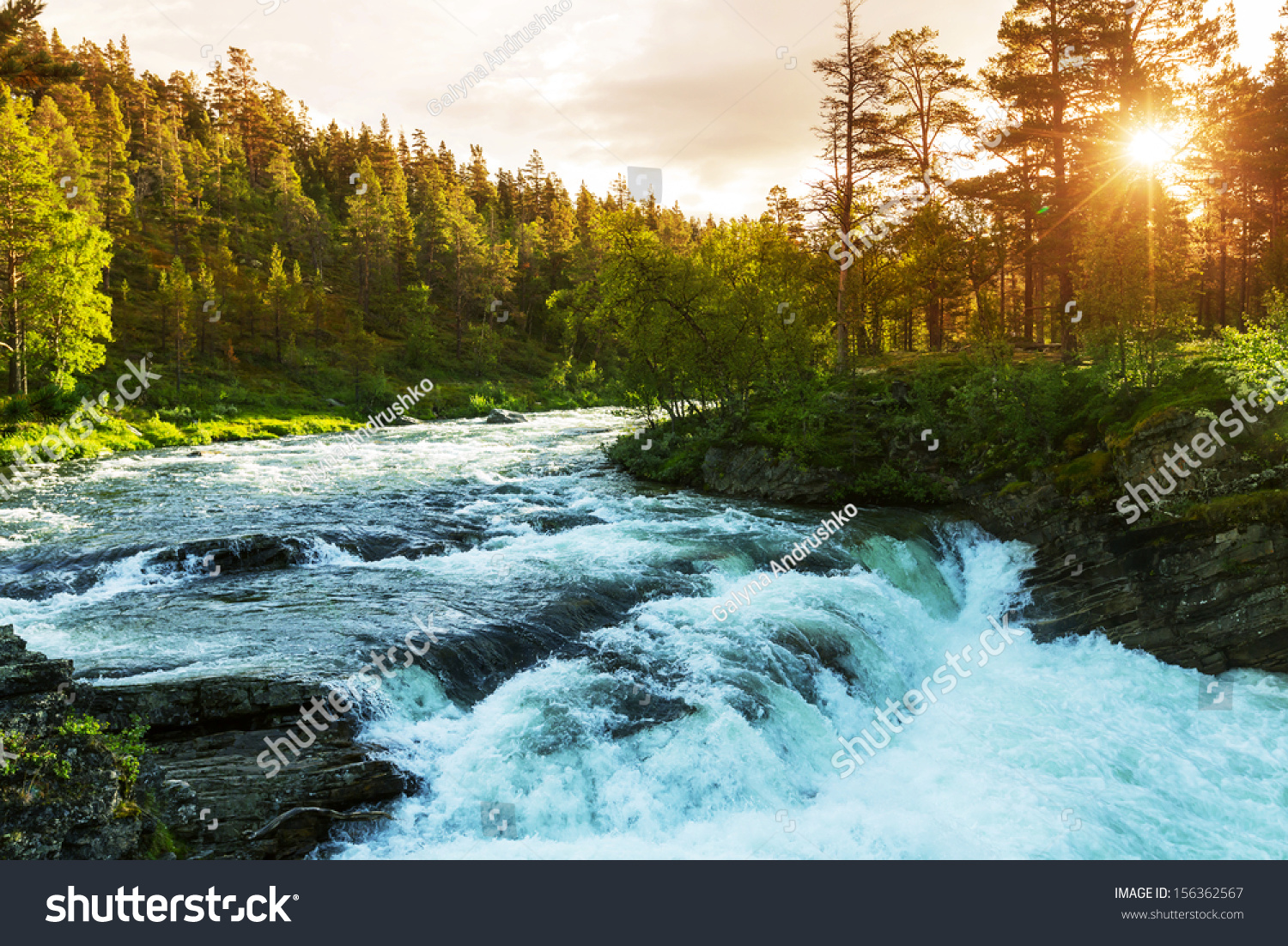 River in Norway #156362567