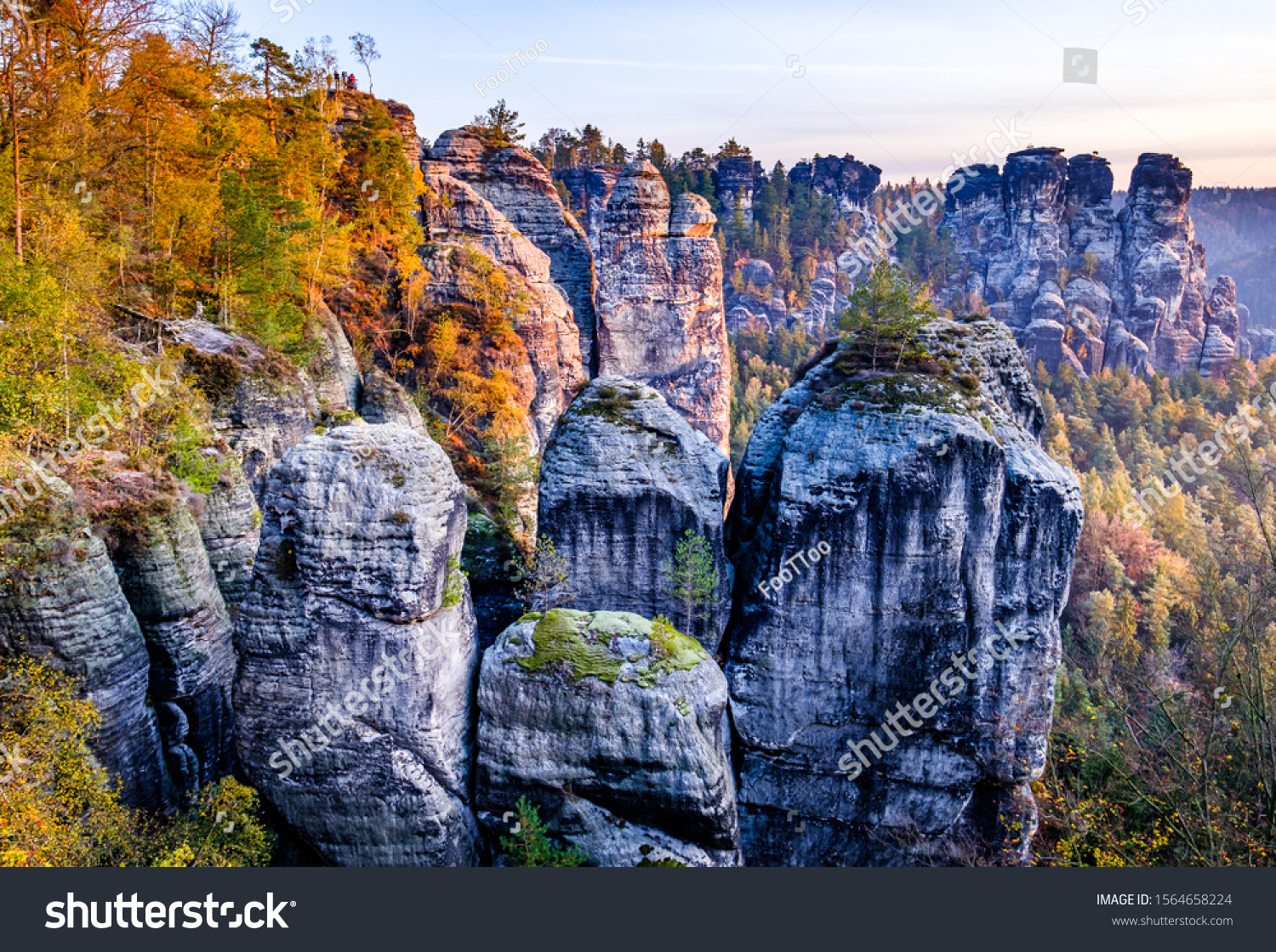 view at the famous bastei hills - germany #1564658224