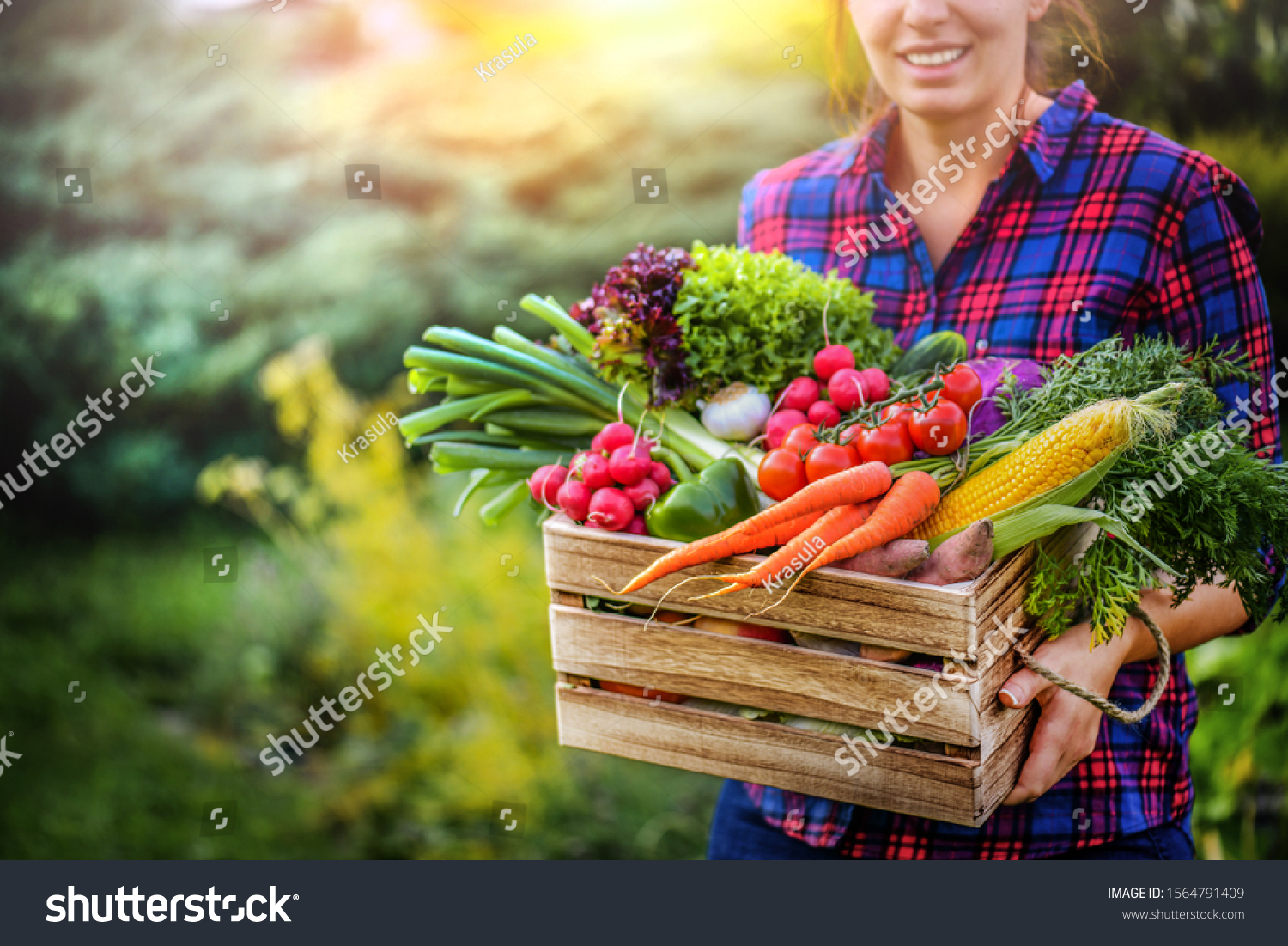 Farmer woman holding wooden box full of fresh raw vegetables. Basket with vegetable (cabbage, carrots, cucumbers, radish, corn, garlic and peppers) in the hands.  #1564791409