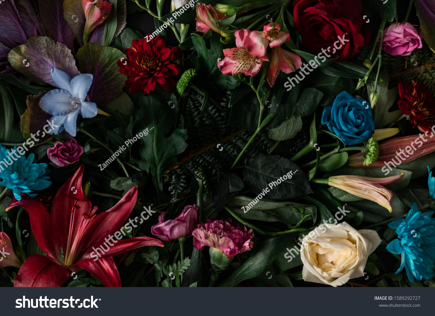 Creative layout made of flowers and leaves. Flat lay. Nature concept. Floral Greeting card. Colorful spring flower background, space for text. Nature Trendy Decorative Design. #1589292727