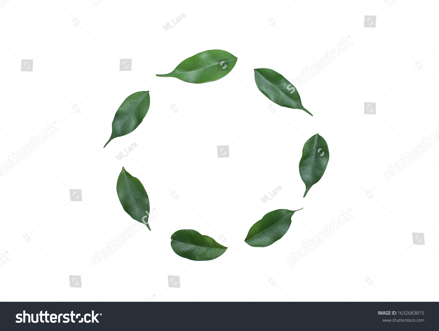 eco-friendly leaves, in a circle, on a white background, for design, for icons and records #1632683815