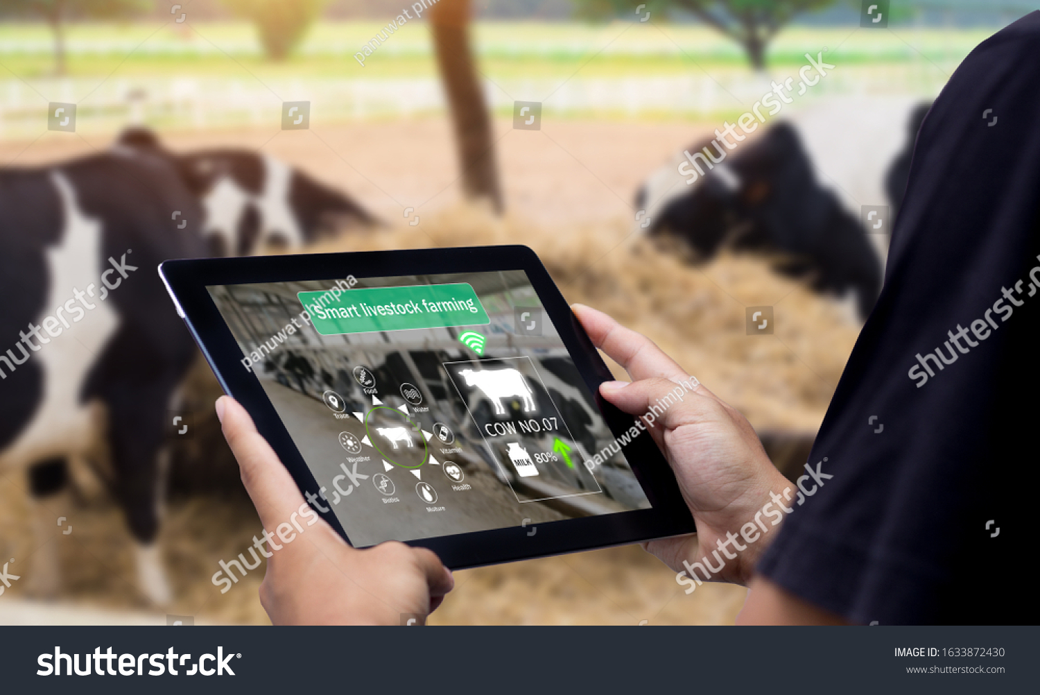 Smart Agritech livestock farming.Hands using digital tablet with blurred cow as background #1633872430