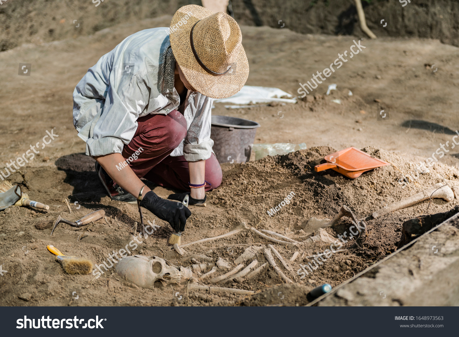 Archaeological excavations, human skeleton remains, found in an ancient tomb.  #1648973563