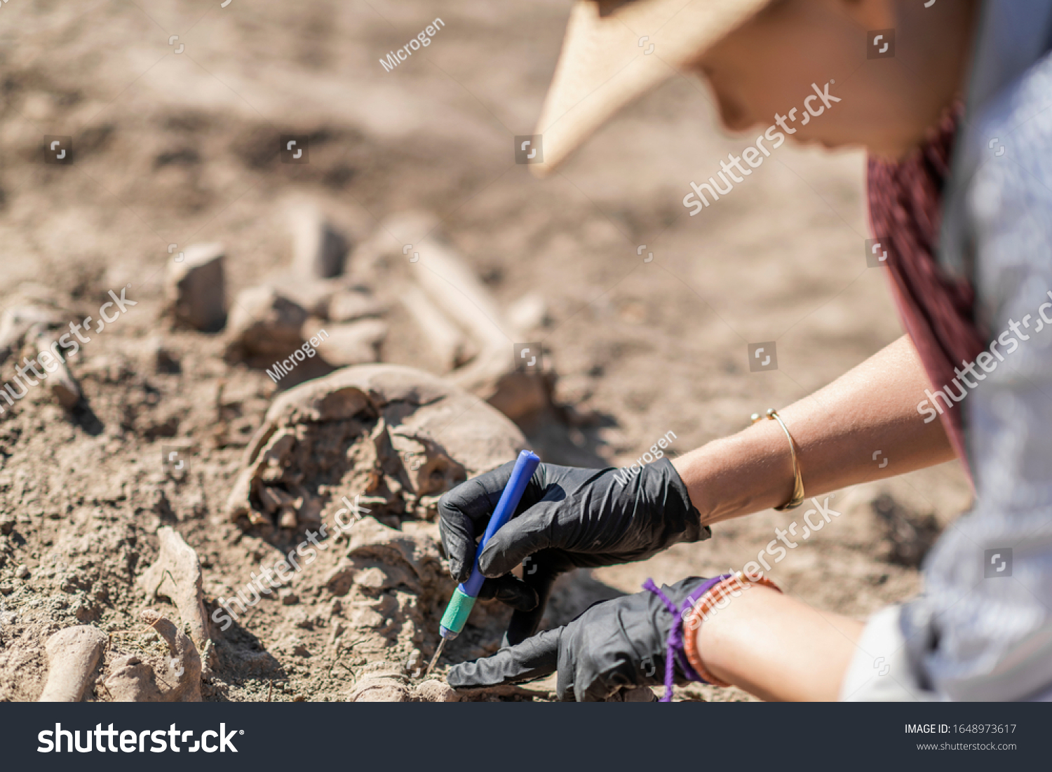 Archaeology - excavating ancient human remains with digging tool kit set at archaeological site.  #1648973617