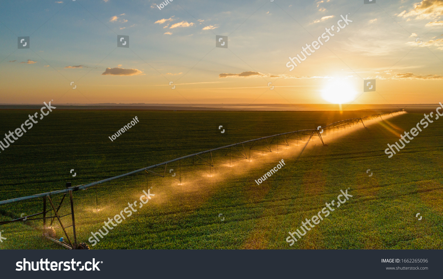 Agriculture - Aerial image, Pivot irrigation used to water plants on a farm. sunset, circular pivot irrigation with drone - Agribusiness #1662265096