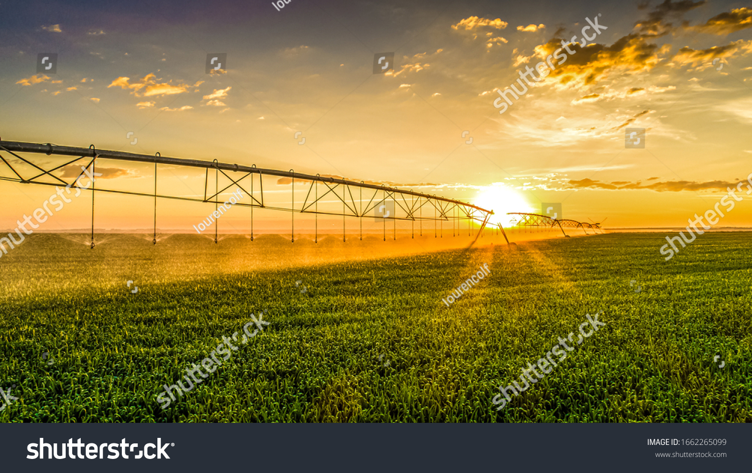 Agriculture - Aerial image, Pivot irrigation used to water plants on a farm. sunset, circular pivot irrigation with drone - Agribusiness #1662265099