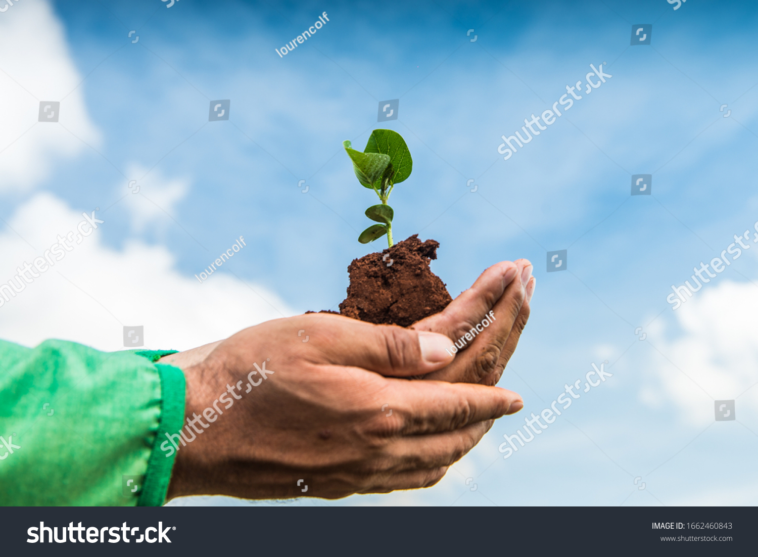 Agriculture - Hands holding a green young plant and a handful of the earth in sunlight, blurred green background. Ecology, life, earth day concept. - agribusiness. #1662460843