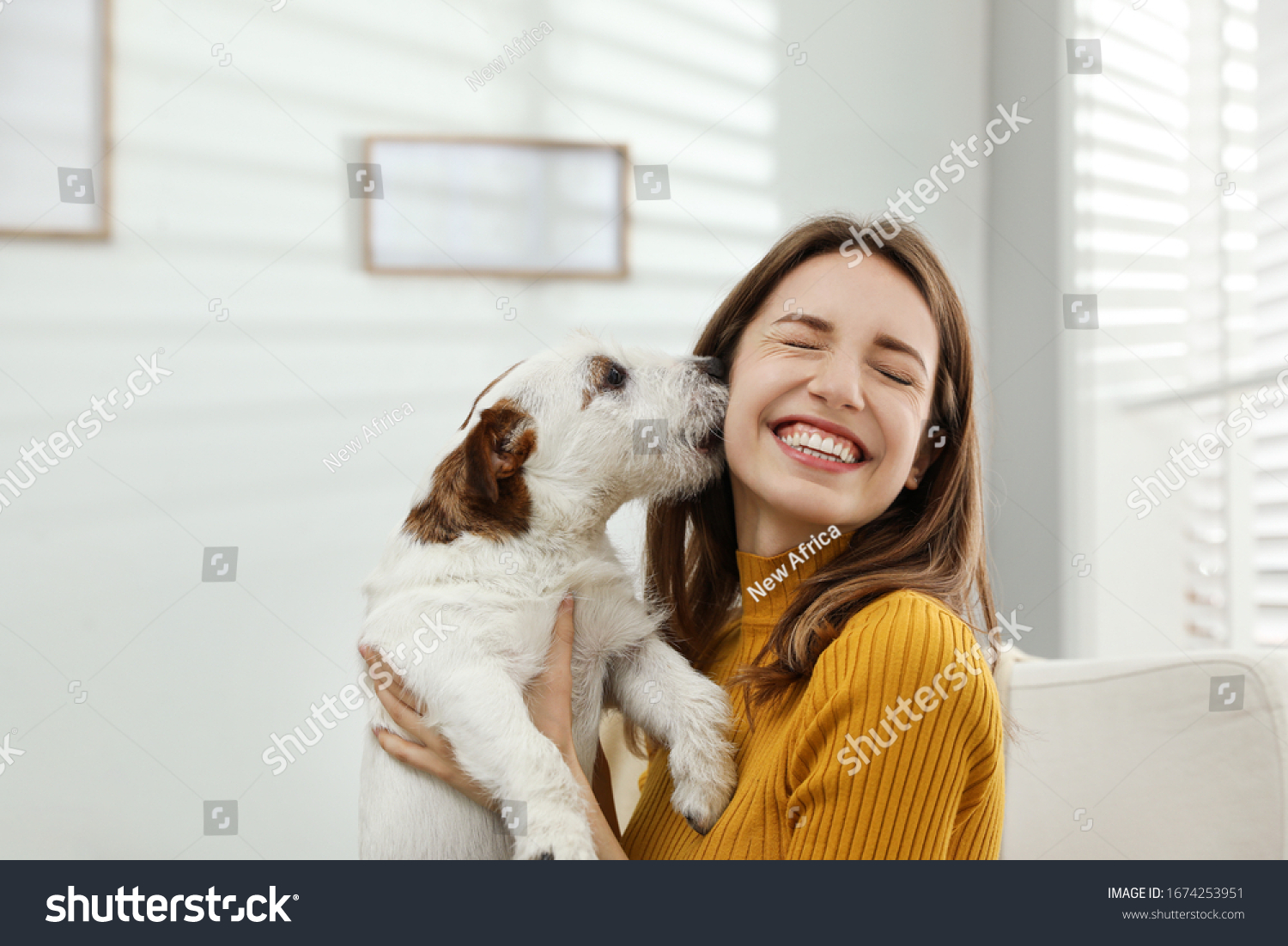 Young woman with her cute Jack Russell Terrier at home. Lovely pet #1674253951