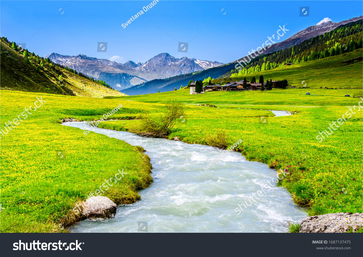 River creek in mountain valley. Water stream in summer green nature #1687137475
