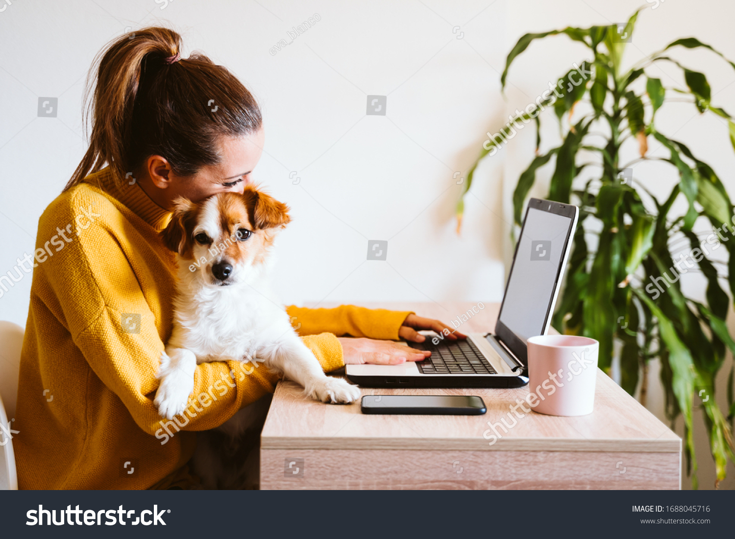 young woman working on laptop at home,cute small dog besides. work from home, stay safe during coronavirus covid-2019 concpt #1688045716