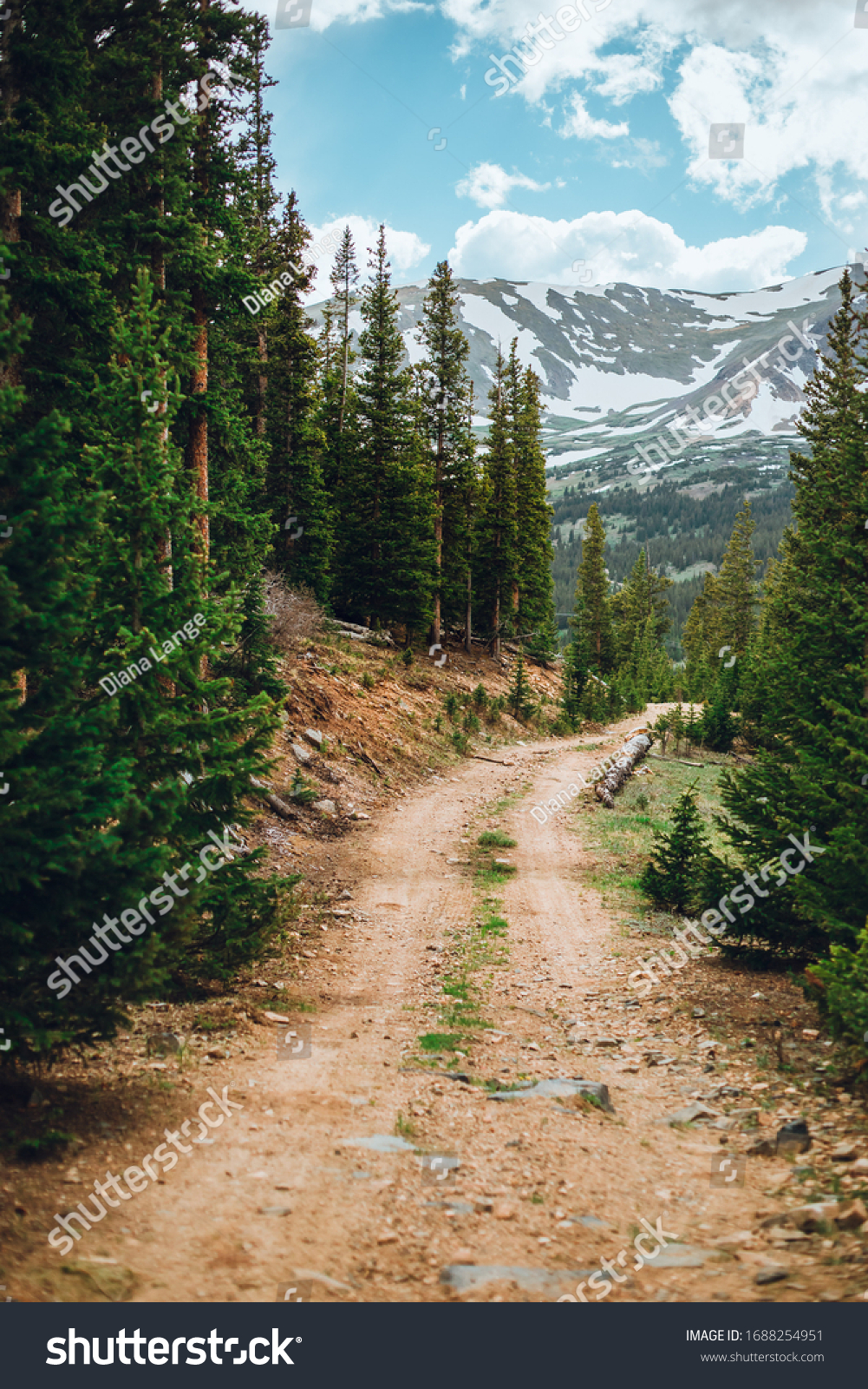 Mountain trail for four wheeling. Colorado mountains and the pine trees. Off road landscape. Dirt trail for off roading in Colorado. #1688254951