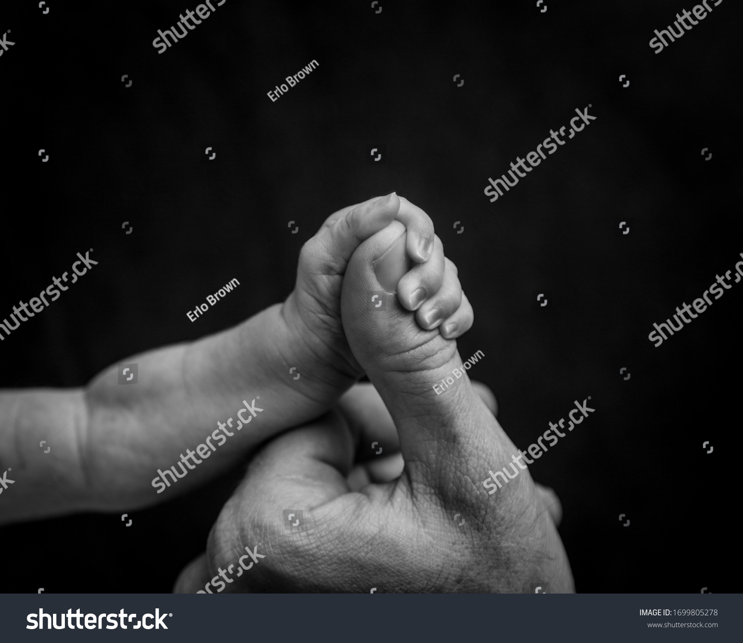 A baby's hand holding a fathers thumb. A newborn baby's grip on their parents hand. #1699805278