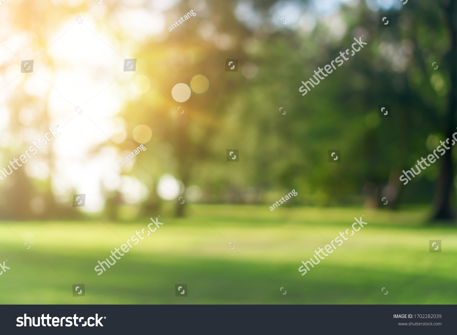Blur nature bokeh green park by beach and tropical coconut trees in sunset time. #1702282039
