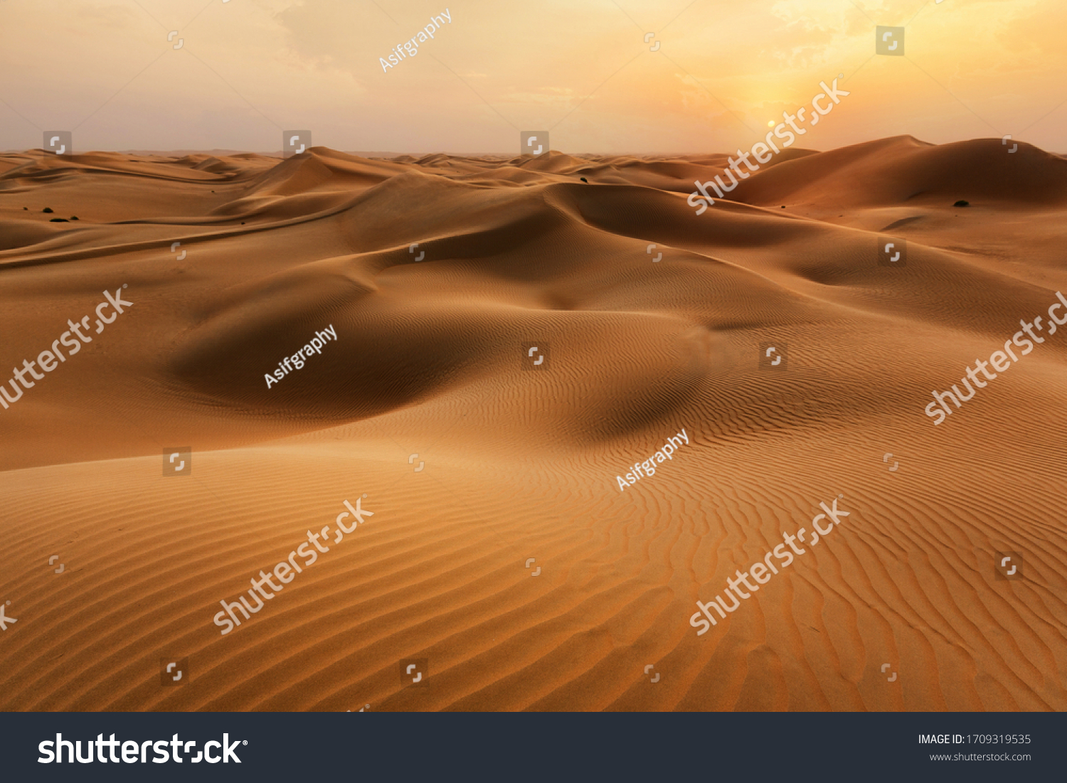 Empty Quarter Desert Dunes at Liwa, Abu Dhabi, United Arab Emirates #1709319535