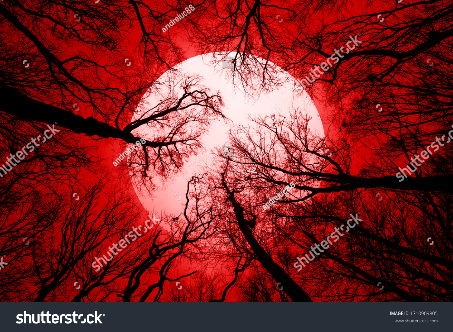 horror forest background, full moon above trees, apocalyptic scene #1710909805