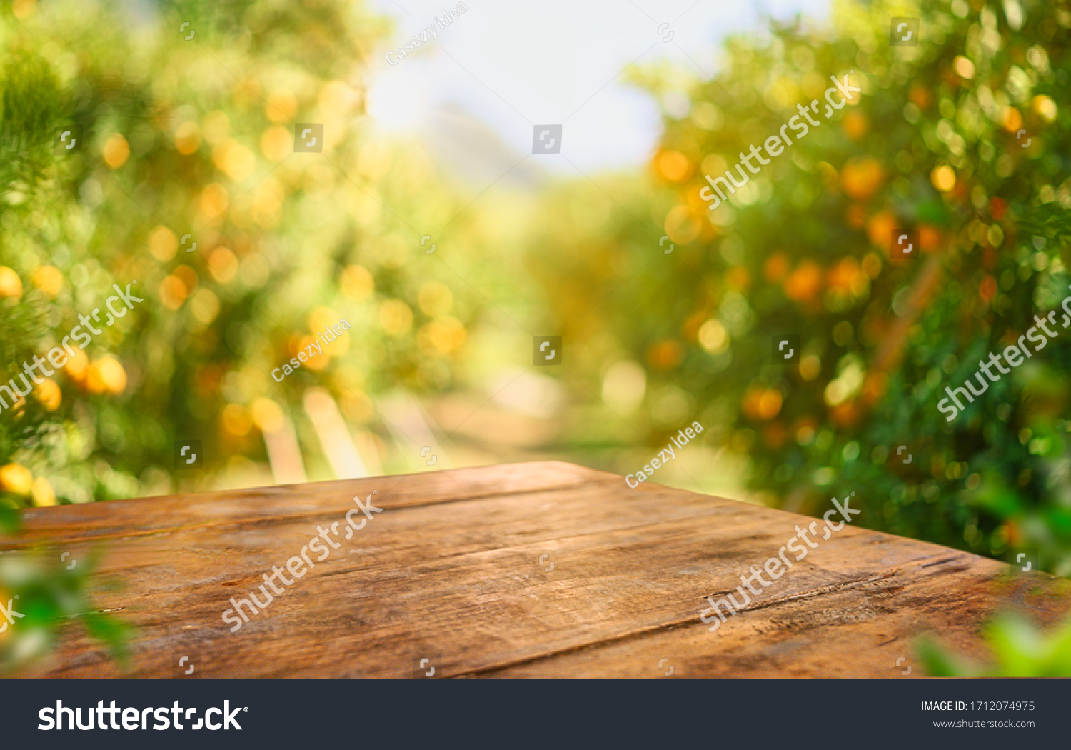 Empty wood table with free space over orange trees, orange field background. For product display montage #1712074975
