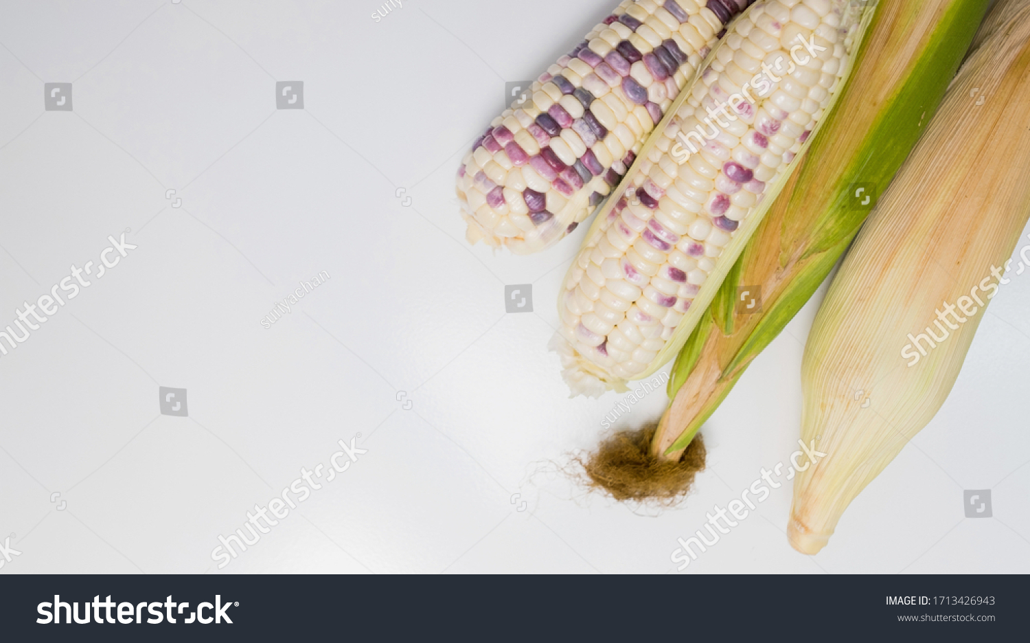 fresh white corn, Waxy corn
 #1713426943