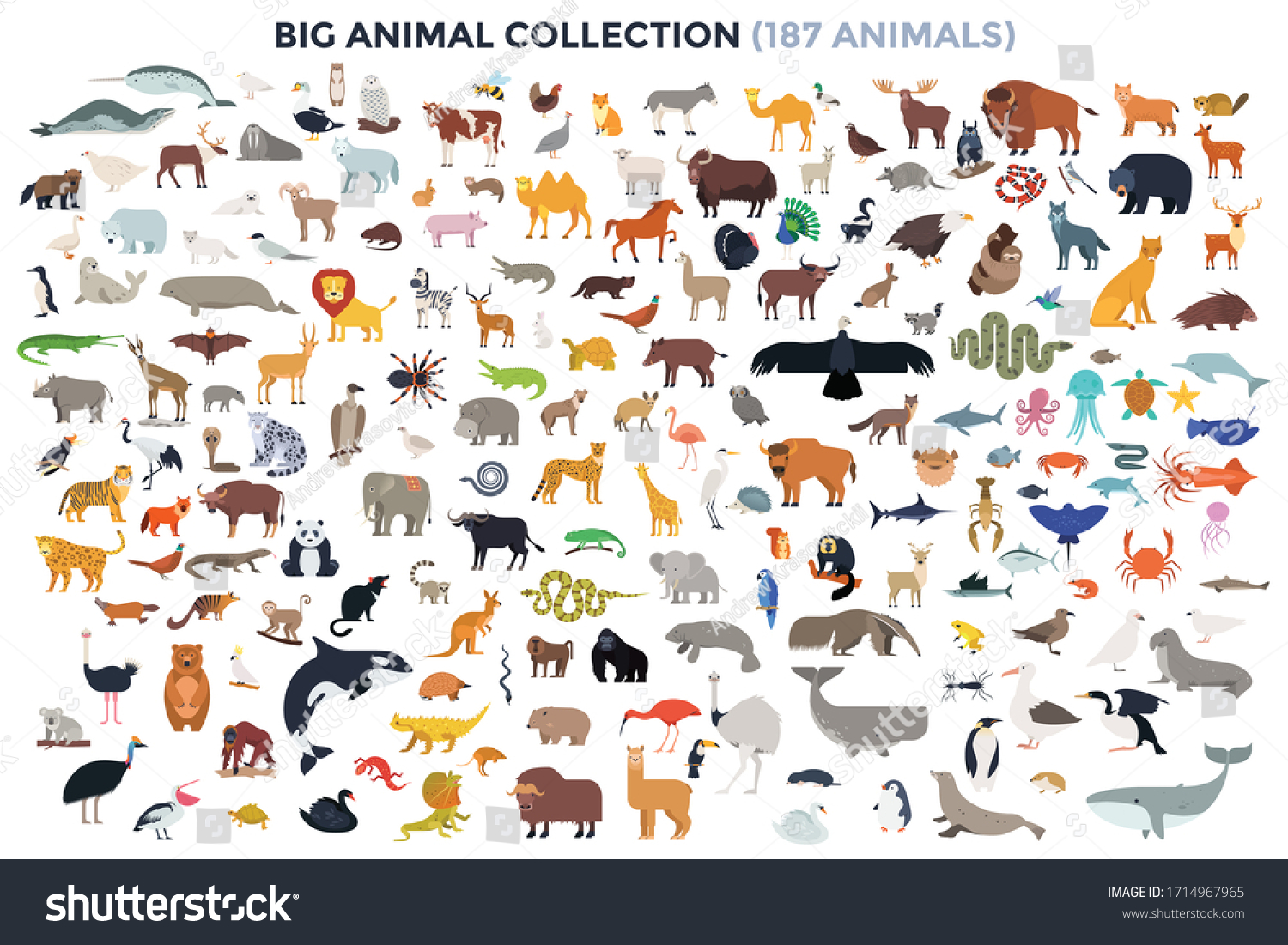 Big bundle of funny domestic and wild animals, marine mammals, reptiles, birds and fish. Collection of cute cartoon characters isolated on white background. Colorful vector illustration in flat style. #1714967965