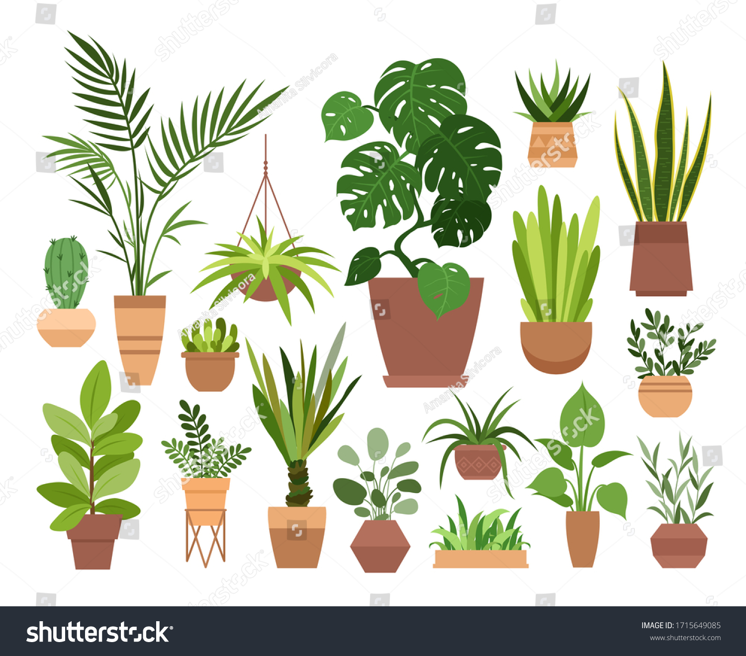 Plant in pot vector illustration set. Cartoon flat different indoor potted decorative houseplants for interior home or office decoration, green garden floral collection icons isolated on white #1715649085