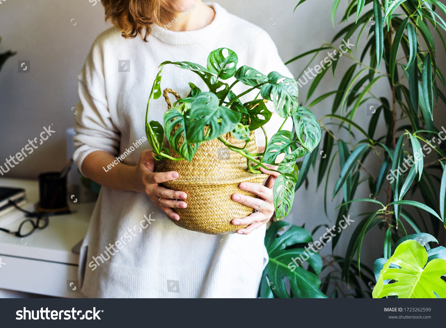 girl holds a houseplant in her hands. hobby houseplants. self-isolation leisure. Comfort in home #1723262599