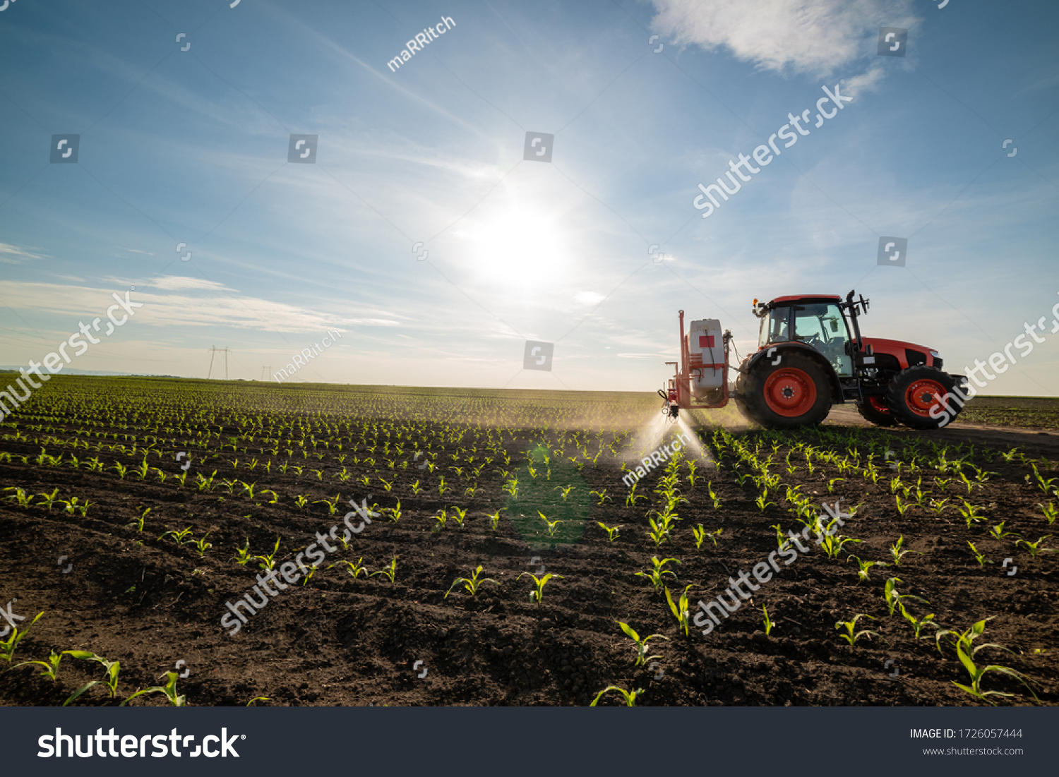 Tractor spraying young corn with pesticides #1726057444