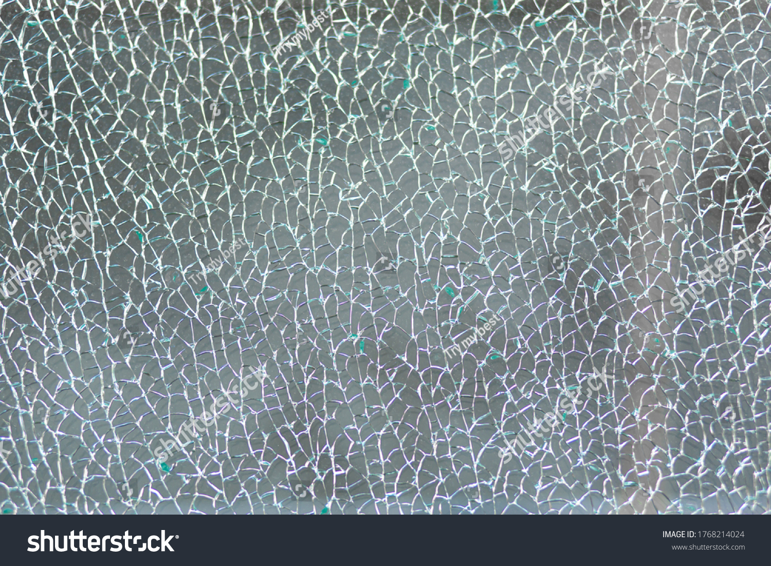 Broken tempered glass. Cracked glass web. #1768214024