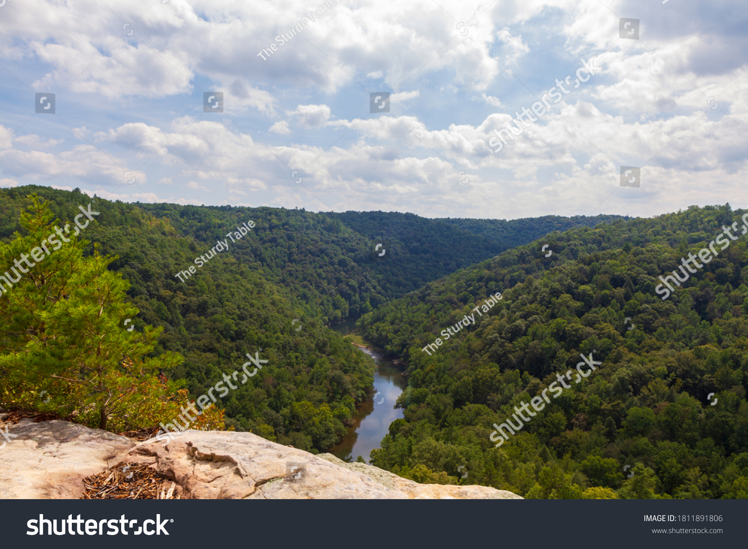 View of valley with green forest and blue river in eastern Tennessee #1811891806