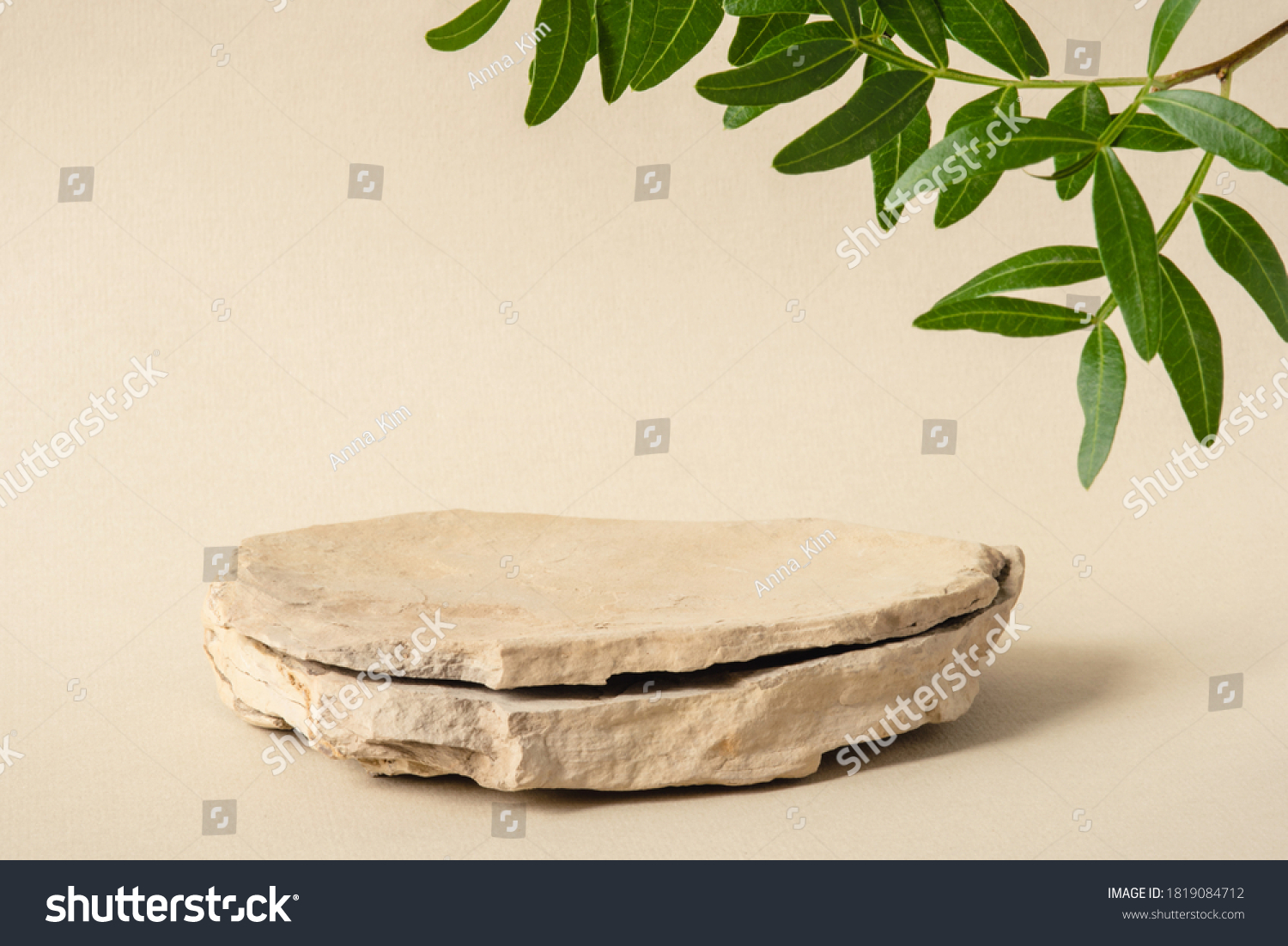 Background for cosmetic products of natural beige color. Stone podium with green leaves. Front view. #1819084712