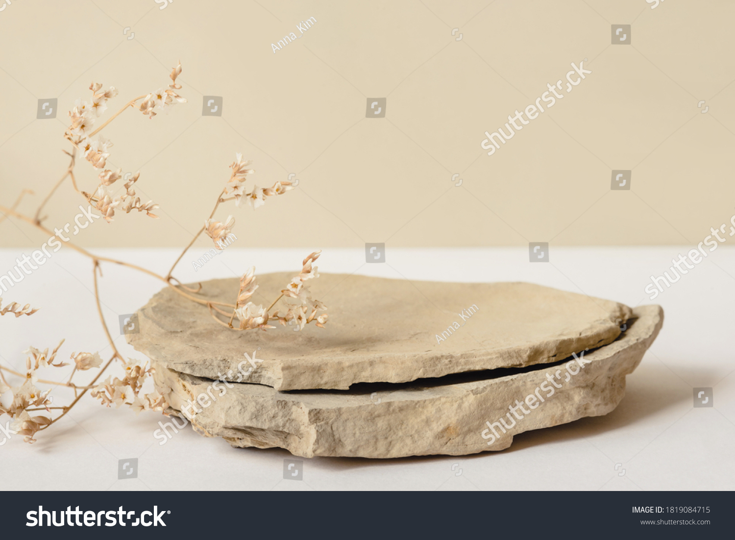 Background for cosmetic products of natural beige color. Stone podium and dry flower on a white background. Front view. #1819084715