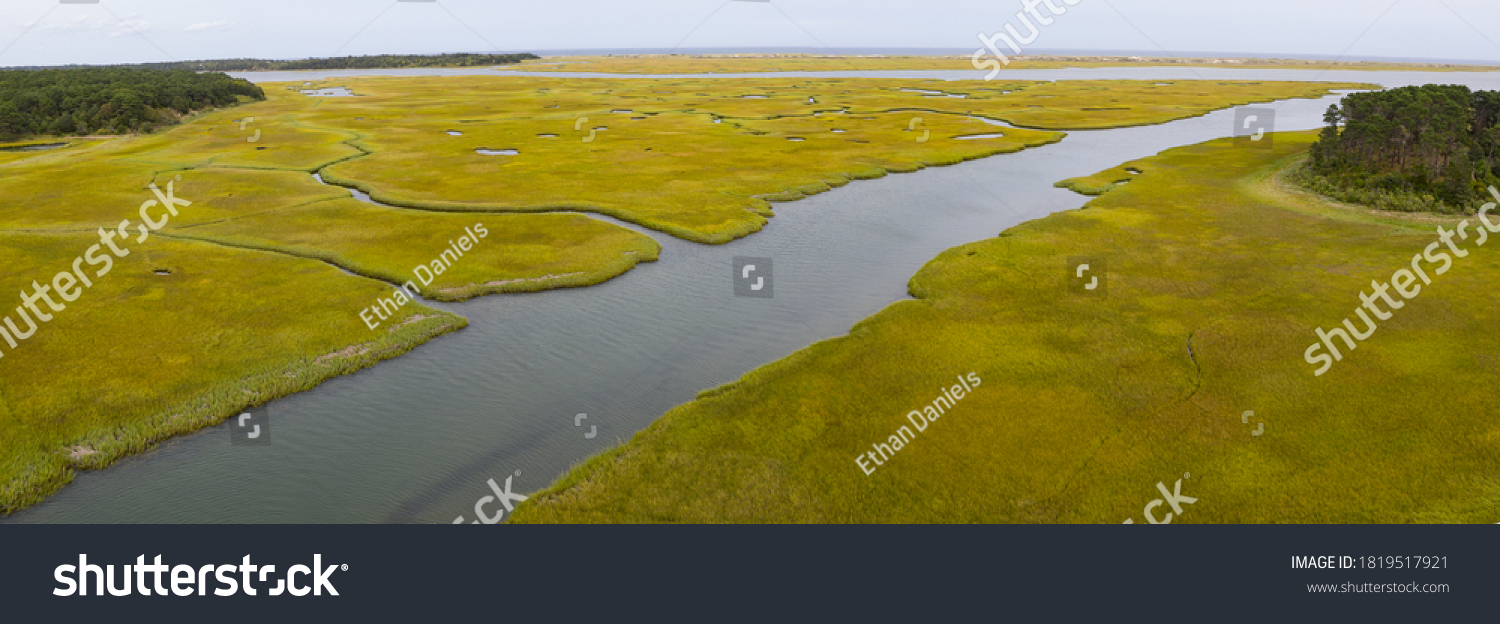 Salt marshes and estuaries are found throughout Cape Cod, Massachusetts. They provide calm nesting, feeding and breeding habitat for a variety of birds, fish, and marine invertebrates.  #1819517921