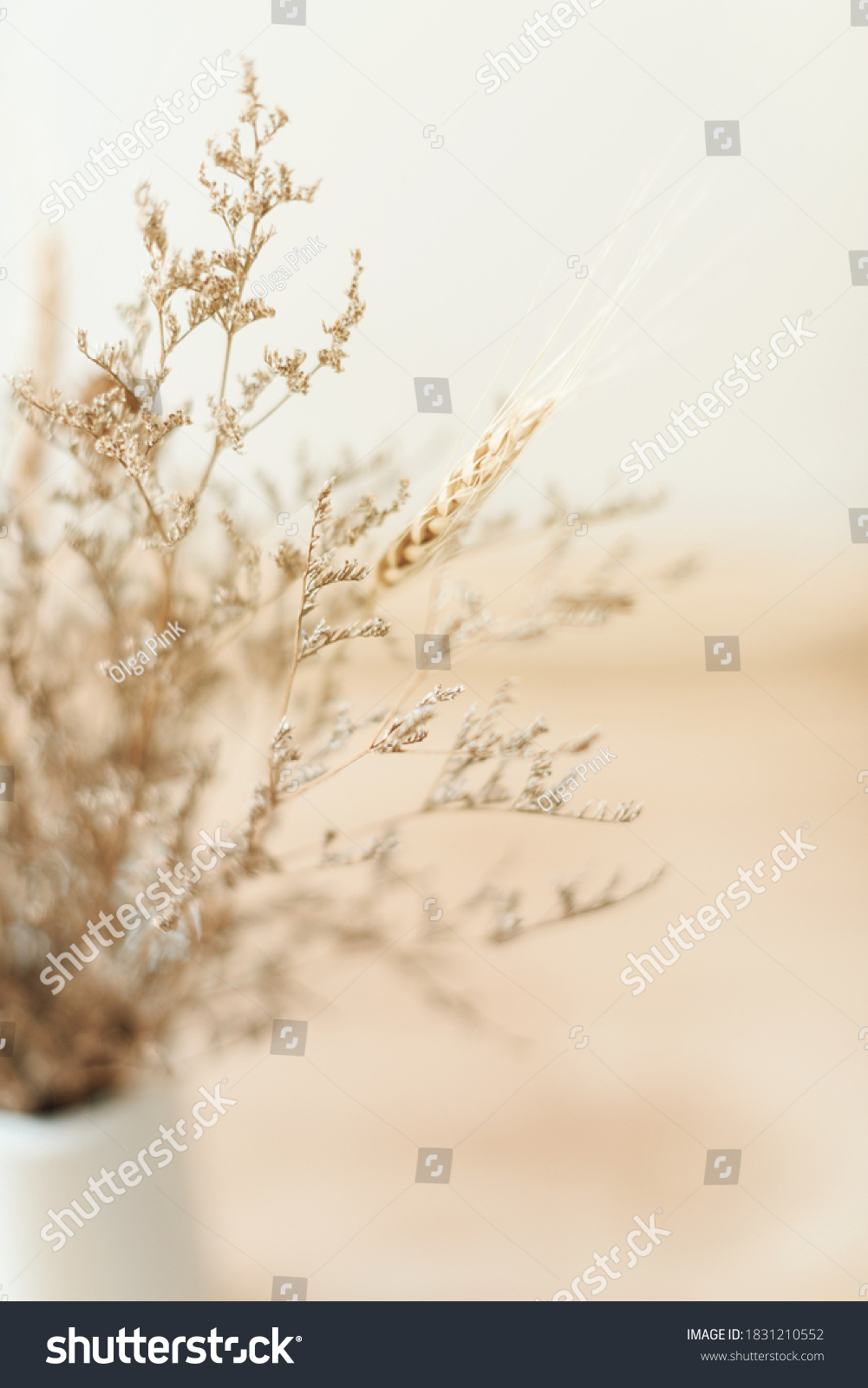 Dried flowers in the vase. kinfolk and minimalism style #1831210552