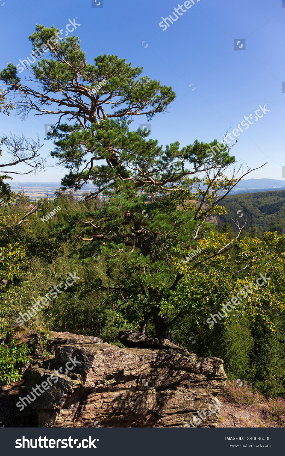 Landscape from the Hill High Rock, Vysoky Kamen, in Rychlebske Mountains, Czech Republic #1840636000