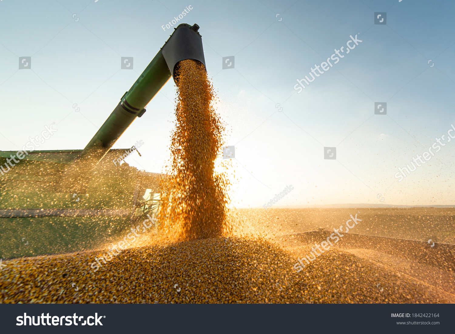 Grain auger of combine pouring soy bean into tractor trailer #1842422164