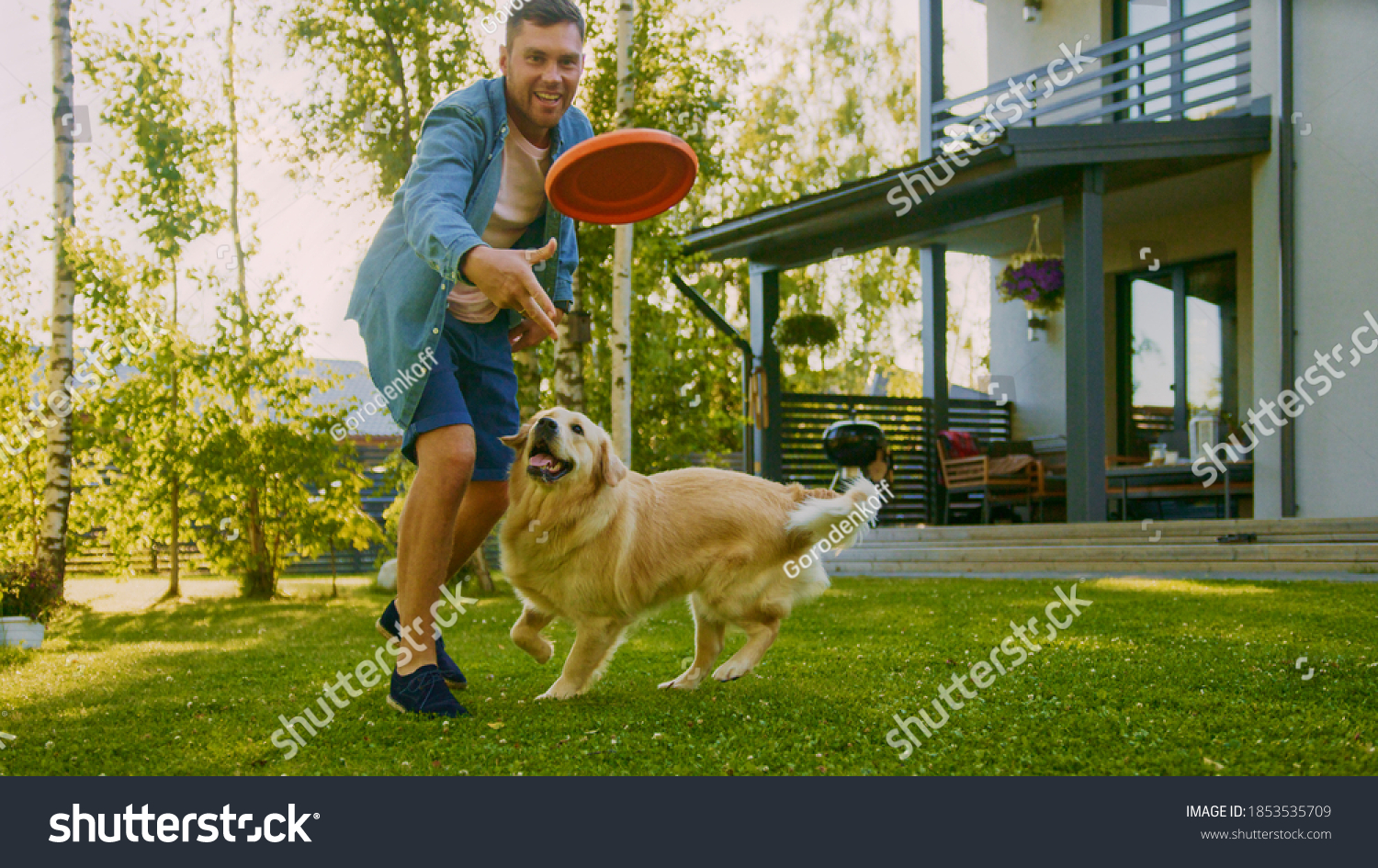 Handsome Man Plays Catch flying disc with Happy Golden Retriever Dog on the Backyard Lawn. Man Has Fun with Loyal Pedigree Dog Outdoors in Summer House Backyard. #1853535709