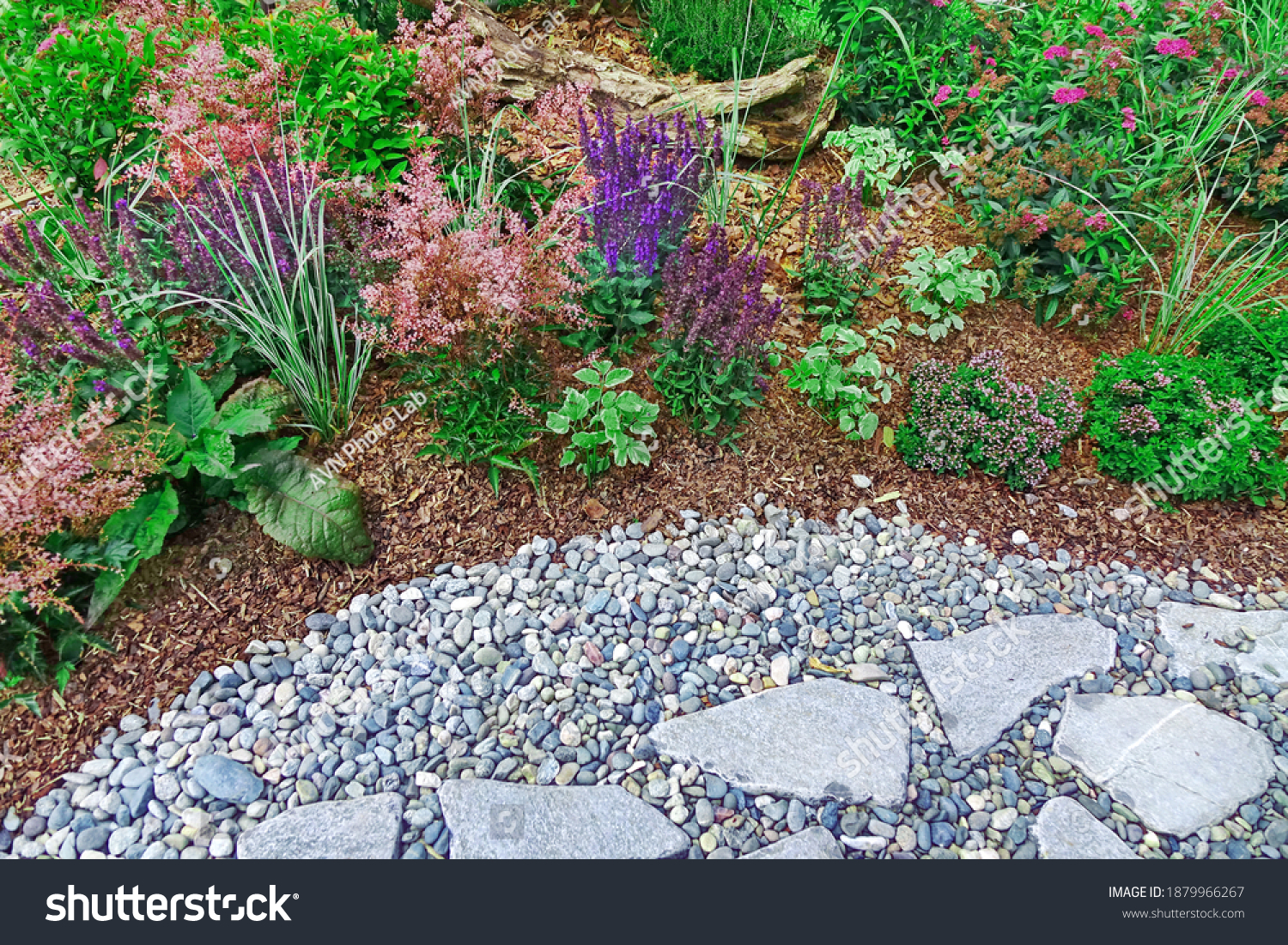 Backyard Garden Modern Designed Landscaping. Decorative Garden Design. Back Yard Lawn And Natural Mulched Border Between Grass, Plants And Pebble, Gravel Or Stone Walk Path. #1879966267