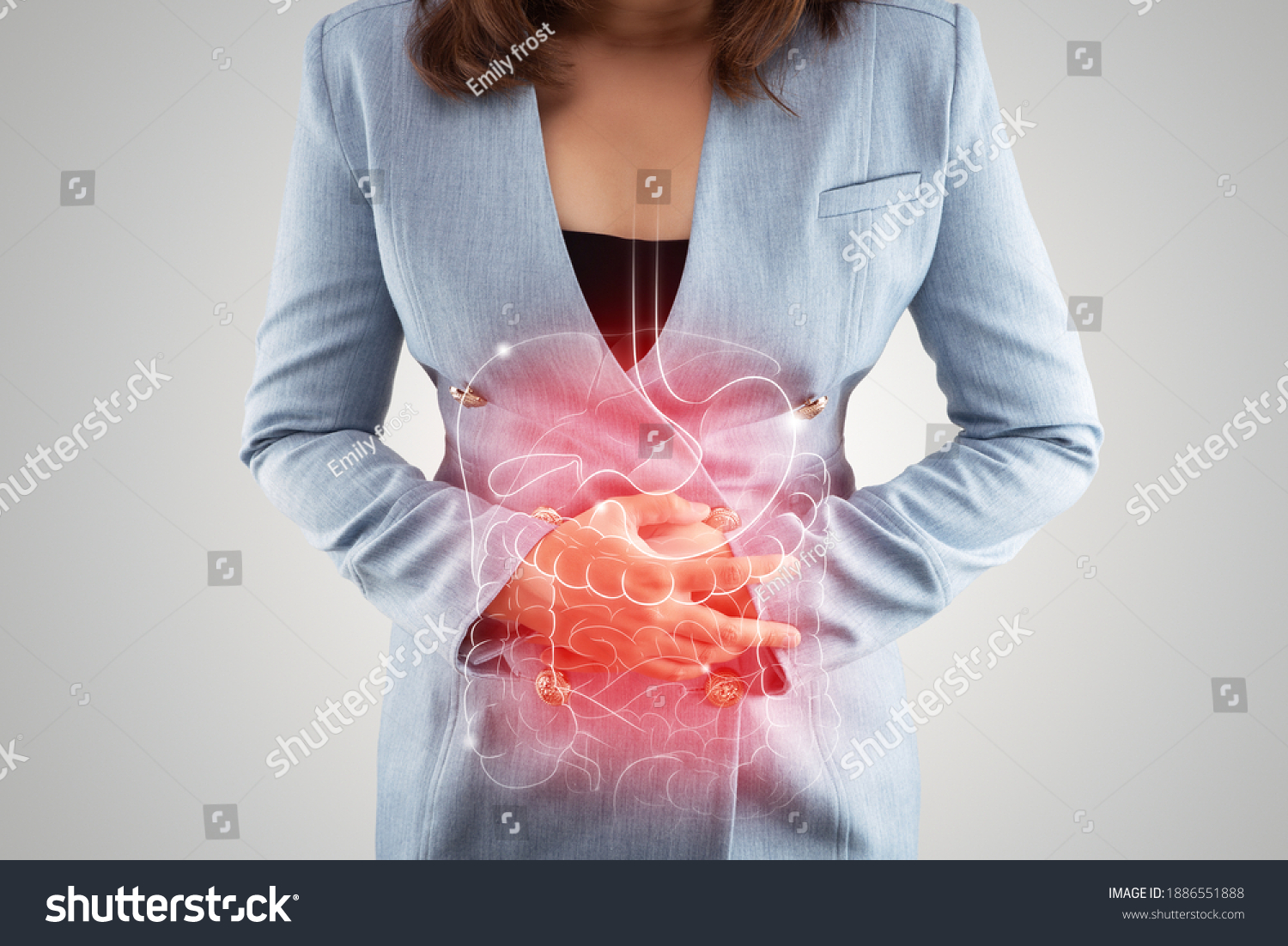 Illustration of internal organs is on the woman's body against the gray background. Business Woman touching stomach painful suffering from enteritis. internal organs of the human body. IBS #1886551888